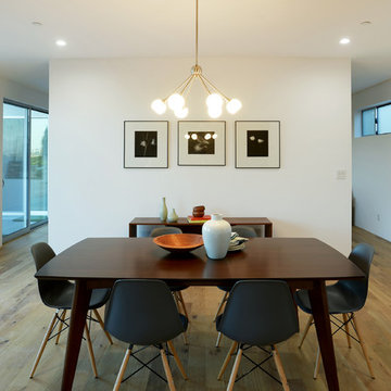 Modern Waterloo Residence