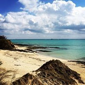 Foto von Jill Vath