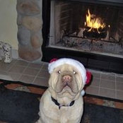 Lynda Botten's photo