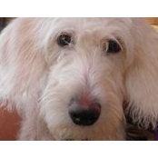 Ruth Wahlen's photo
