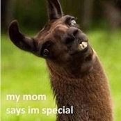 Frances Cadaoas's photo
