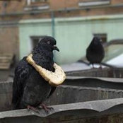 Gwen ouioui's photo
