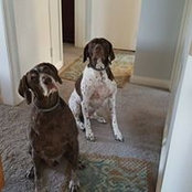 Buddy Finch's photo
