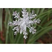 Michele Bessette's photo