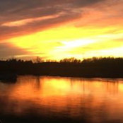 Jeana Bouchard Calfas's photo