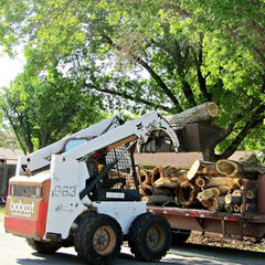 Torres Tree Services