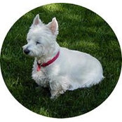 Carol Heine's photo