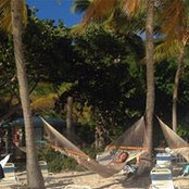 Foto di adlib