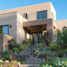 Drought tolerant landscape