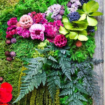 Plant Painting for Your Home