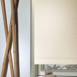 Blindsgalore - Blindsgalore&reg; Roller Shades: Newport Blackout - Roller Shades