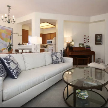Condo - Modern Traditional