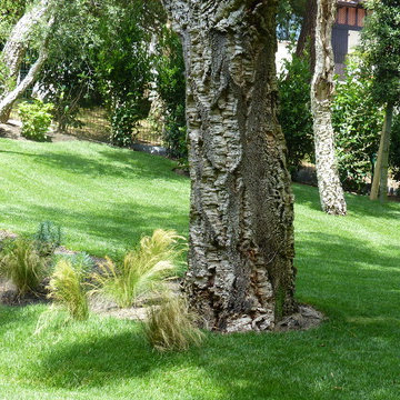 Le Lac HOSSEGOR