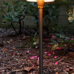 Alpharetta House and Backyard Lighting Project #2 Brass Light - Outdoor Lighting