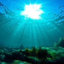 Rays by Joel Coleman - Photographs