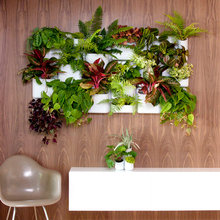 living wall