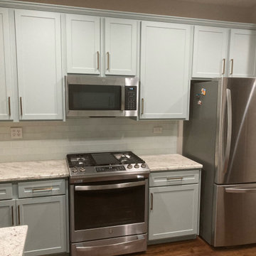 Transitional Kitchen Remodel Done in an Aloe SuperMatte Shaker Door
