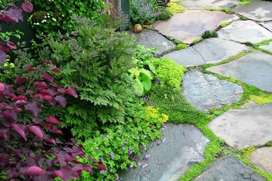 Photo of a rustic landscaping in Philadelphia.
