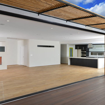 6071 Del Cerro Modern Project