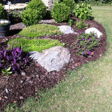Landscape Design & Installation