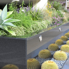 Landscape for 1170 Sacramento