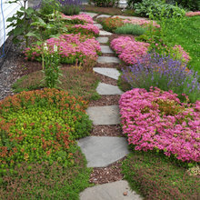 Walkway