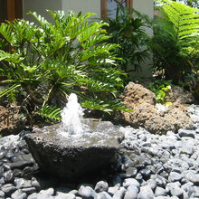 Water Features