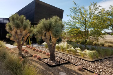 This is an example of a modern garden in Las Vegas.
