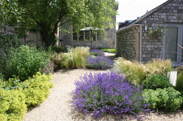 9 Ways to Use Lavender in Your Garden Design