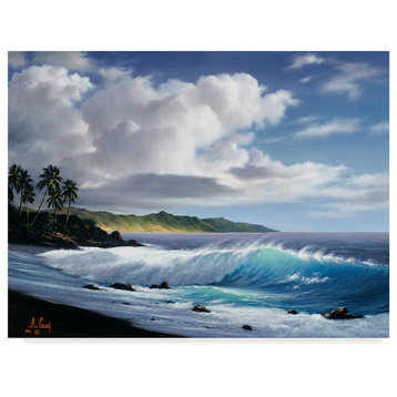 "Coast Line 3" by Anthony Casay, Canvas Art, 32"x24"