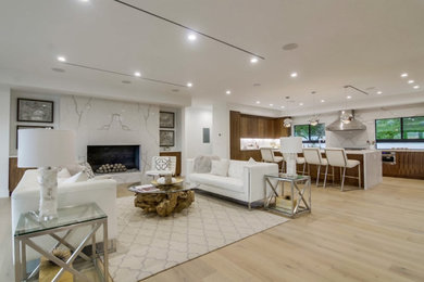Example of a living room design in San Diego