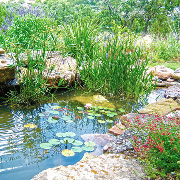 Water Features