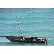 Nikola Vujic's photo