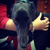 Daniel Ong's photo