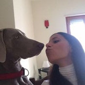 Adele Novello's photo