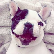 Manon Els's photo