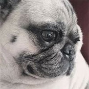 Naomi Hilgren's photo