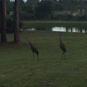 Chris Bosek's photo