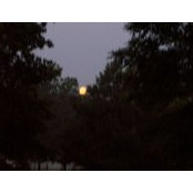 Kay McCuan's photo
