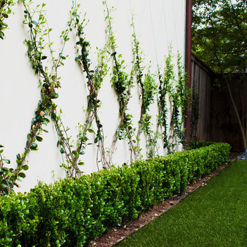 TRADITIONAL FRONT & BACK YARD