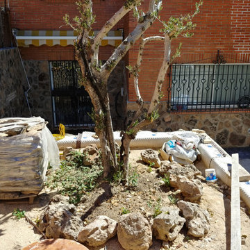 Estado original del jardín
