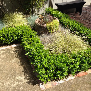 Southern Tuscan Garden