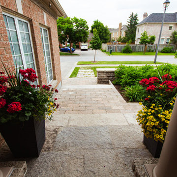 Suburban Frontyard