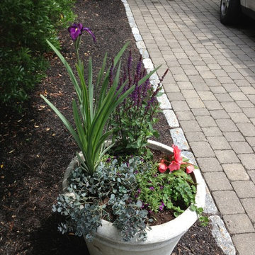 Seasonal Container Plantings & Changeovers