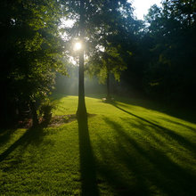 Landscape Ideas