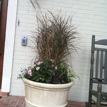 Container Gardening