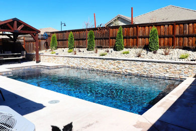 Inspiration for a pool remodel in Sacramento