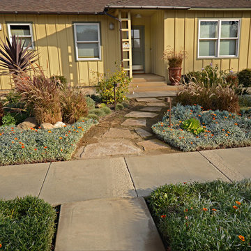 Ventura New California Landscape