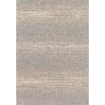 Easy Care, Stain/Fade Resistant Emory Area Rug, Silver, 5'3"x7'7"