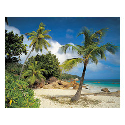 American Wallpaper & Design - Palm Trees On The Beach Mural Wallpaper - Wall Decals